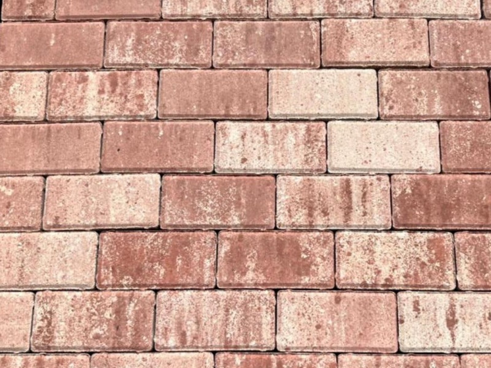 SUPER RECTANGLE pavers in a rose colour mix